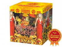 Красивая жизнь Фейерверк купить в Красногородске | krasnogorodsk.salutsklad.ru