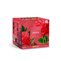 Пионы Салют купить в Красногородске | krasnogorodsk.salutsklad.ru