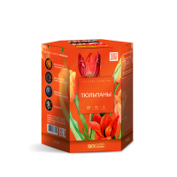 Тюльпаны Салют купить в Красногородске | krasnogorodsk.salutsklad.ru