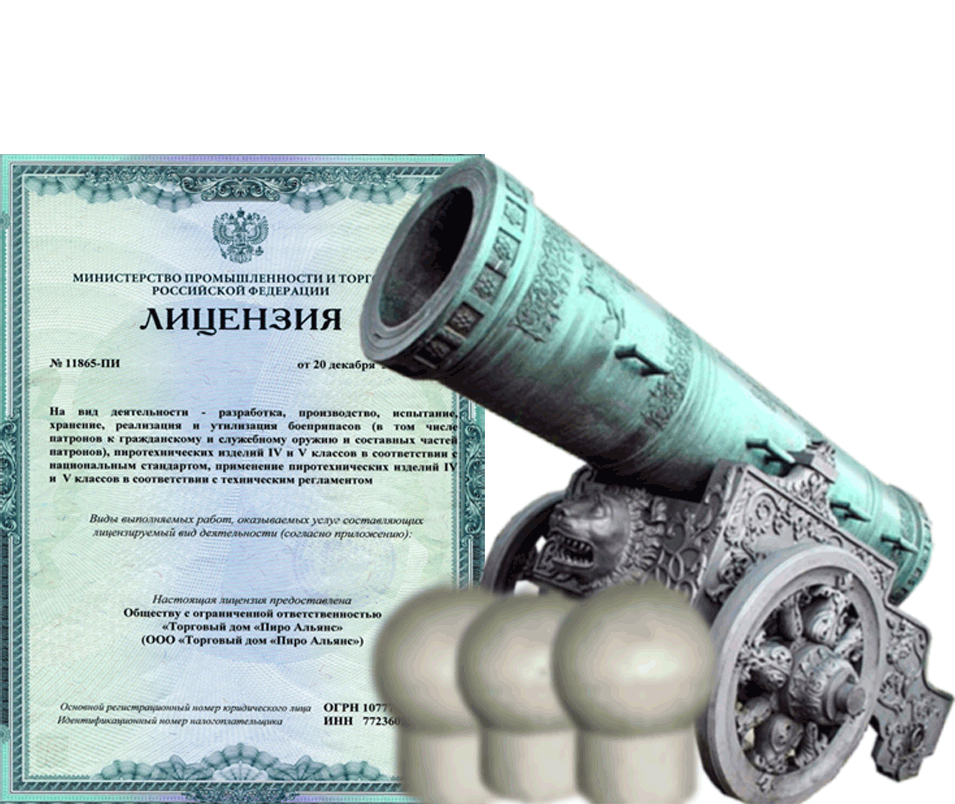 Заказать фейерверк на Новый Год - салют в Красногородске