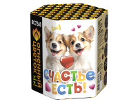 Счастье есть! Салют купить в Красногородске | krasnogorodsk.salutsklad.ru