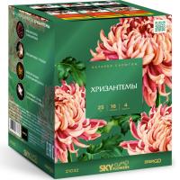 Хризантемы Фейерверк купить в Красногородске | krasnogorodsk.salutsklad.ru