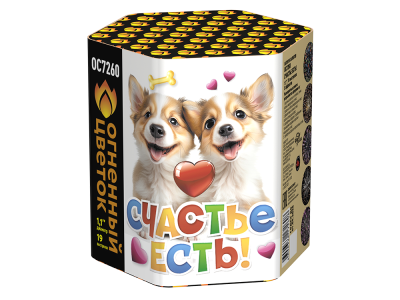 Счастье есть! Салют купить в Красногородске | krasnogorodsk.salutsklad.ru